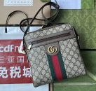 202539348 GG shoulder bag Beige
